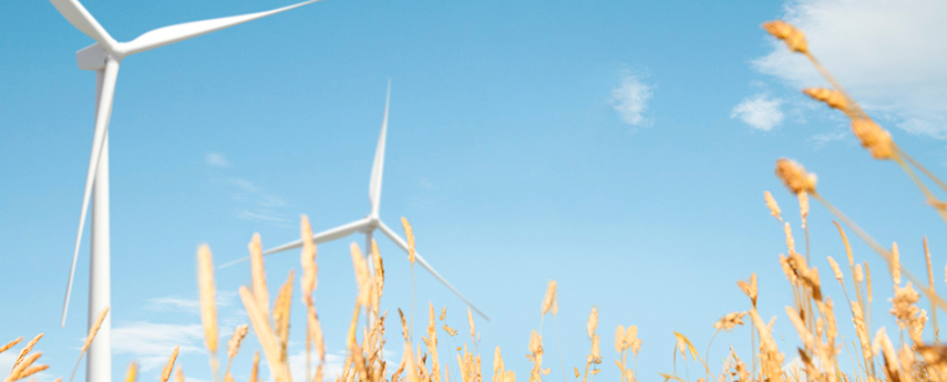 Corporativo y Cumplimiento